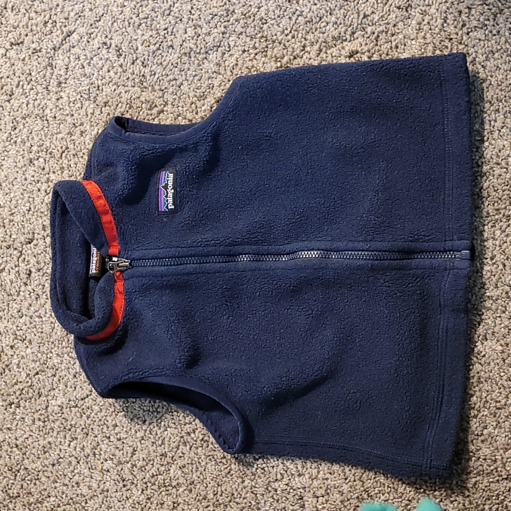 Patagonia synchilla vest